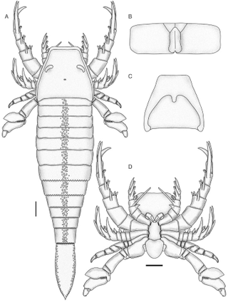 Illustration for article titled Five-Foot-Long Sea Scorpion Proves the Ancient Oceans Were a Terrifying Place